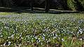 April 15, 2009 - Maudslay State Park, Newburyport, Massachusetts.