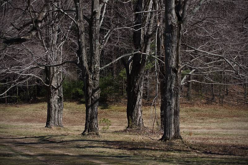 April 24, 2009 - Maudslay State Park, Newburyport, Massachusetts.