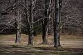 April 24, 2009 - Maudslay State Park, Newburyport, Massachusetts.