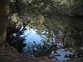 April 24, 2009 - Maudslay State Park, Newburyport, Massachusetts.