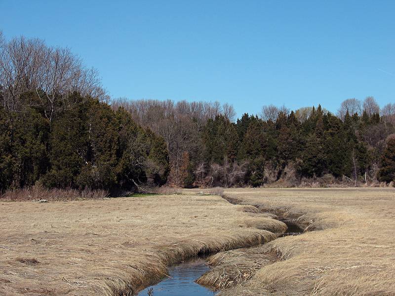 April 25, 2009 - Old Town Hill (Trustees of Reservations), Newbury, Massachusetts.