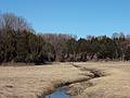 April 25, 2009 - Old Town Hill (Trustees of Reservations), Newbury, Massachusetts.