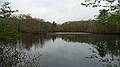 May 4, 2009 - Maudslay State Park, Newburyport, Massachusetts.<br />The Artichoke River between Rt. 113 and Curon's Mill.