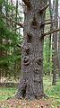 May 4, 2009 - Maudslay State Park, Newburyport, Massachusetts.