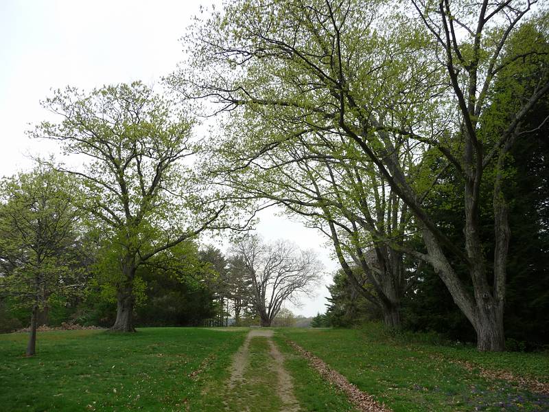 May 4, 2009 - Maudslay State Park, Newburyport, Massachusetts.