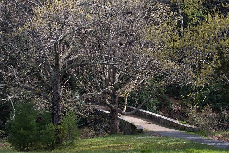 May 6, 2009 - Maudslay State Park, Newburyport, Massachusetts.