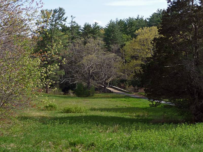 May 6, 2009 - Maudslay State Park, Newburyport, Massachusetts.