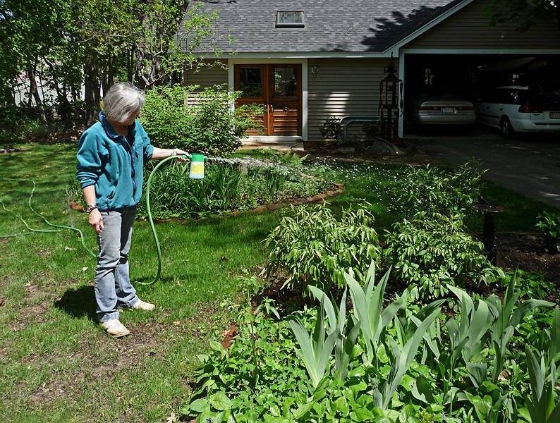May 10, 2009 - Merrimac, Massachusetts.<br />Joyce doing her gardening chores, on Mother's Day, no less.