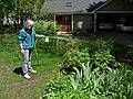 May 10, 2009 - Merrimac, Massachusetts.<br />Joyce doing her gardening chores, on Mother's Day, no less.