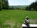 May 15, 2009 - Woodstock, Vermont.<br />Marsh-Billings-Rockefeller National Historical Park.<br />Joyce.