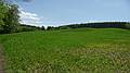 May 15, 2009 - Woodstock, Vermont.<br />Marsh-Billings-Rockefeller National Historical Park.<br />Elm Lot.