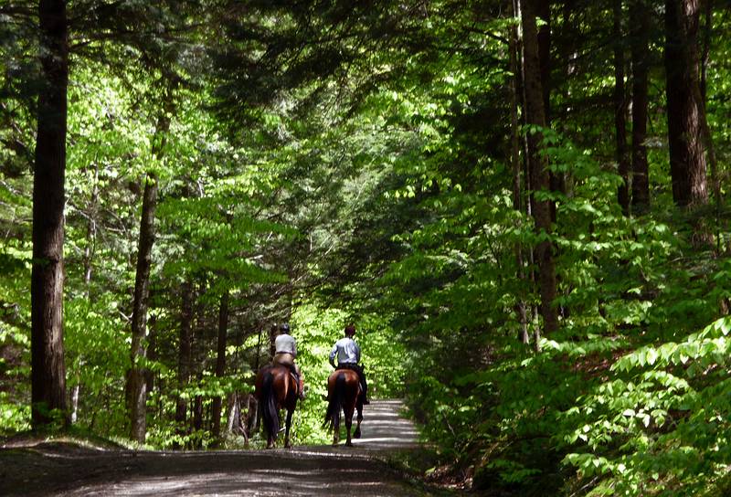 May 15, 2009 - Woodstock, Vermont.<br />Marsh-Billings-Rockefeller National Historical Park.