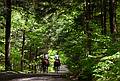 May 15, 2009 - Woodstock, Vermont.<br />Marsh-Billings-Rockefeller National Historical Park.