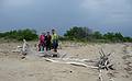 May 24, 2009 - Sandy Point State Reservation, Plum Island, Massachusetts.<br />Joyce, Melody and Sati at the toppled tree.