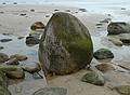 May 24, 2009 - Sandy Point State Reservation, Plum Island, Massachusetts.<br />'The rock'.