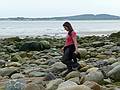 May 24, 2009 - Sandy Point State Reservation, Plum Island, Massachusetts.<br />Melody.