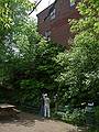June 8, 2009 - Woodstock, Vermont.<br />Joyce and Baiba admiring a monster climbing hydrangea.