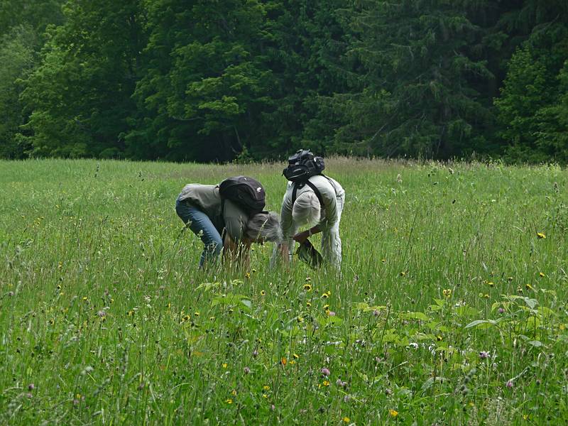 June 8, 2009 - Woodstock, Vermont.<br />Joyce and Baiba picking wild strawberries (they tasted good!).