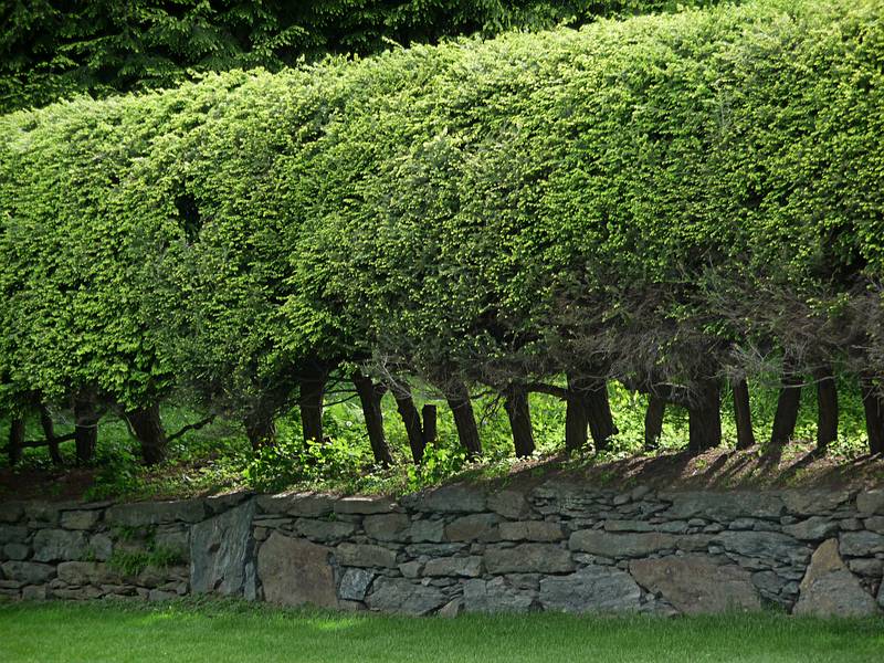 June 8, 2009 - Woodstock, Vermont.<br />Border between route VT-12 and the Marsh-Billings-Rockefeller mansion grounds.