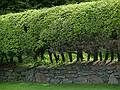 June 8, 2009 - Woodstock, Vermont.<br />Border between route VT-12 and the Marsh-Billings-Rockefeller mansion grounds.