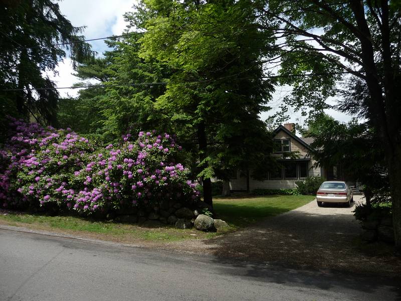 June 12, 2009 - Manchester by the Sea, Massachusetts.<br />Flowers on the street side.