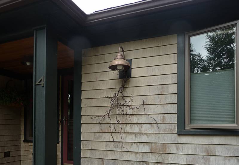 June 12, 2009 - Manchester by the Sea, Massachusetts.<br />Decoration at entrance to the house.