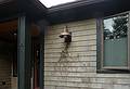June 12, 2009 - Manchester by the Sea, Massachusetts.<br />Decoration at entrance to the house.