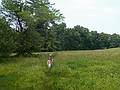 July 16, 2009 - Maudslay State Park, Newburyport, Massachusetts.<br />Miranda and Joyce in tall grass.