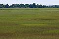 August 27, 2009 - Parker River National Wildlife Refuge, Plum Island, Massachusetts.