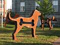 August 27, 2009 - Newburyport, Massachusetts.<br />Dale Rogers' dogs.