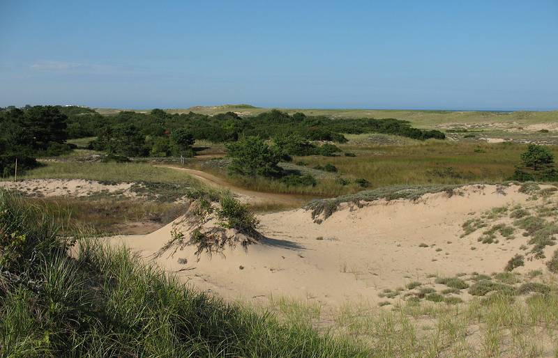 August 30, 2009 - Parker River National Wildlife Refuge, Plum Island, Massachusetts.<br />View from boardwalk off parking lot #2.