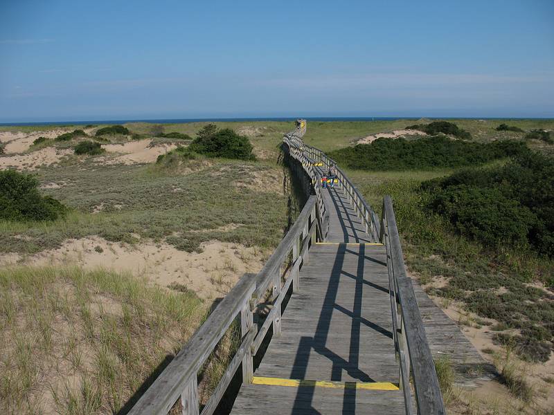 August 30, 2009 - Parker River National Wildlife Refuge, Plum Island, Massachusetts.<br />Boardwalk off parking lot #2.