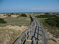 August 30, 2009 - Parker River National Wildlife Refuge, Plum Island, Massachusetts.<br />Boardwalk off parking lot #2.