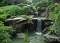 August 21, 2009 - Brooklyn Botanic Garden, Brooklyn, New York, New York.<br />At the Japanese Hill-and-Pond Garden.