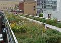 August 22, 2009 - High Line Park, Manhattan, New York, New York.