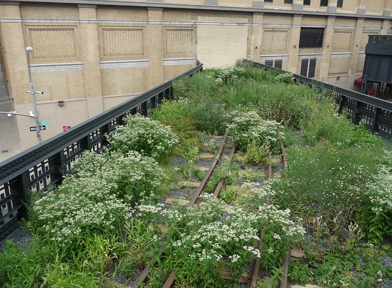 August 22, 2009 - High Line Park, Manhattan, New York, New York.