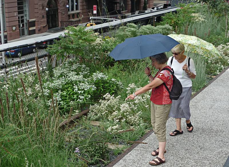 August 22, 2009 - High Line Park, Manhattan, New York, New York.<br />Joyce and Baiba discussing the plants.