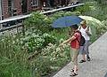 August 22, 2009 - High Line Park, Manhattan, New York, New York.<br />Joyce and Baiba discussing the plants.