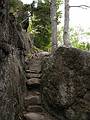 Sept. 25, 2009 - Cadillac Cliff Trail, a spur off Gorham Mountain Trai, Acadia National Park, Maine.