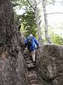 Sept. 25, 2009 - Cadillac Cliff Trail, a spur off Gorham Mountain Trai, Acadia National Park, Maine.<br />Egils.
