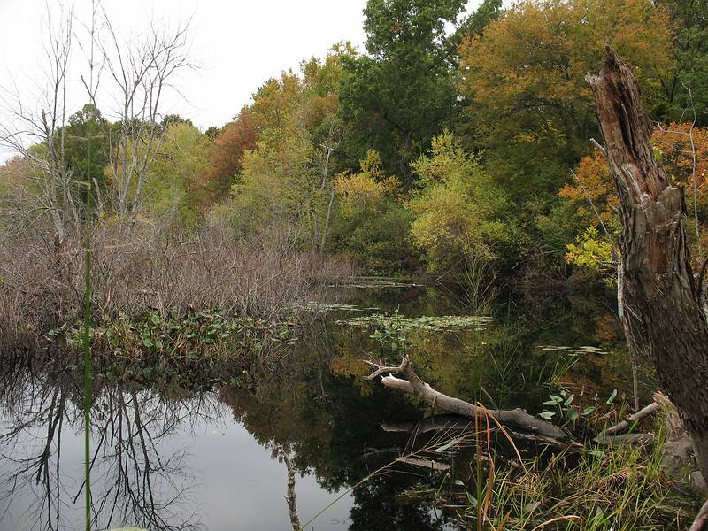 Oct. 9, 2009  - Ipswich River Wildlife Sanctuary, Topsfield, Massachusetts.<br />View of Bunker Meadows from the canoe access area.