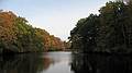 The Artichoke River above Curzon's Mill dam.<br />Oct. 14, 2009 - Curson's Mull bridge, Newburyport, Massachusetts.