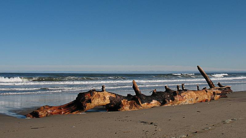 Oct. 19, 2009 - Parker River National Wildlife Refuge, Plum Island, Massachusetts.