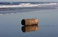 Oct. 19, 2009 - Parker River National Wildlife Refuge, Plum Island, Massachusetts.