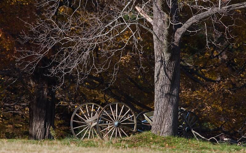 Oct. 26, 2009 - Appleton Farms, Ipswich, Massachusetts.