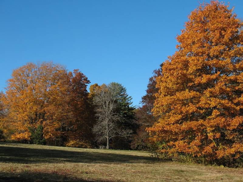 Oct. 26, 2009 - Appleton Farms, Ipswich, Massachusetts.