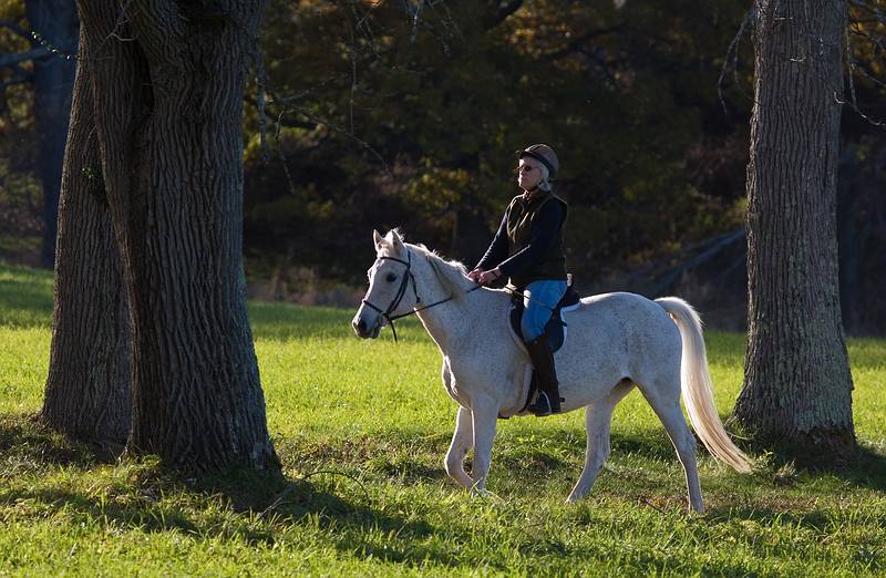 Oct. 26, 2009 - Appleton Farms, Ipswich, Massachusetts.