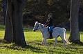 Oct. 26, 2009 - Appleton Farms, Ipswich, Massachusetts.