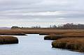 Nov. 2, 2009 - Parker River National Wildlife Refuge, Plum Island, Massachusetts.<br />View along path to Stage Pond.