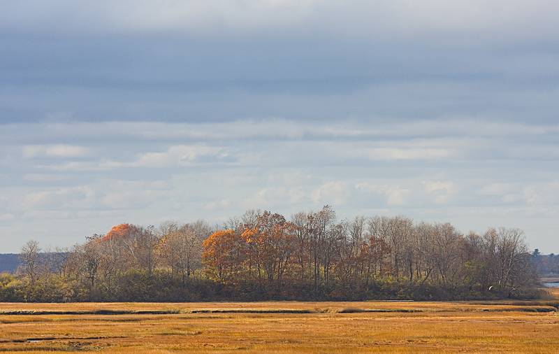 Nov. 2, 2009 - Parker River National Wildlife Refuge, Plum Island, Massachusetts.<br />View along path to Stage Pond.